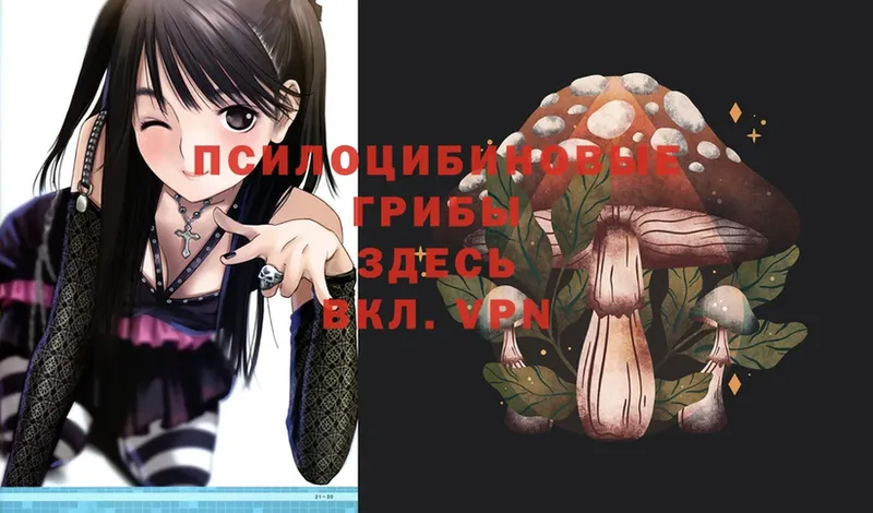 Псилоцибиновые грибы Magic Shrooms  Бирюсинск 